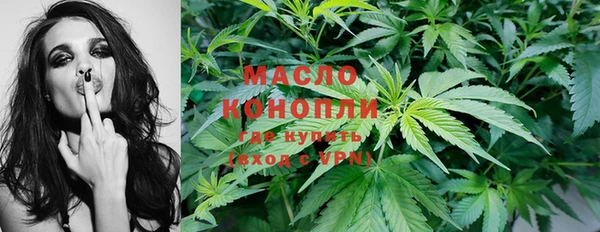 тгк Вяземский