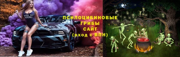 тгк Вяземский
