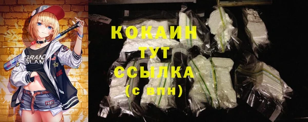 гидра Волоколамск