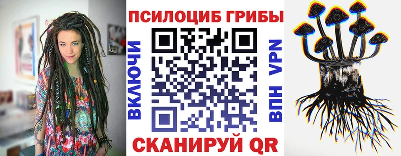 Купить где  Кириллов  Псилоцибиновые грибы ЛСД 